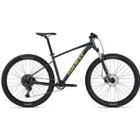 Giant Talon 1 Mountain Bike  2024 XX-Large (29er) - Gloss Cold Iron/Bay Leaf