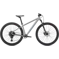 Specialized Rockhopper Expert 29 Mountain Bike 2024 Satin Silver Dust/Black Holographic Foil