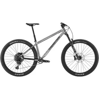 Transition Trans Am Mountain Bike 2024 Chrome