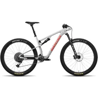 Santa Cruz Blur C S TR Mountain Bike 2024 Matte Silver